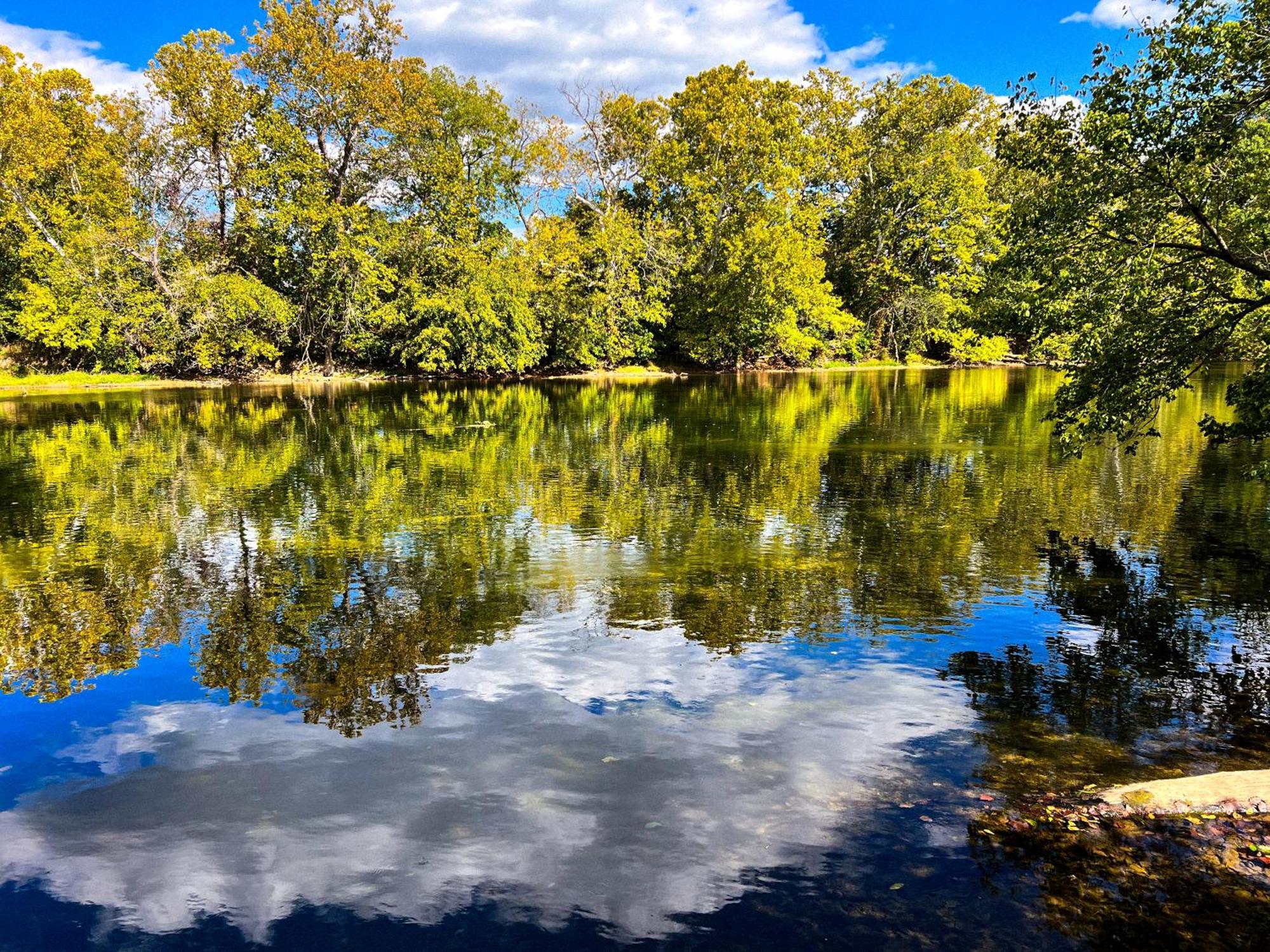 Luray Rv Resort On Shenandoah River Ngoại thất bức ảnh